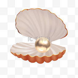 珍珠白蘑图片_珍珠贝壳