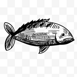 一条金鱼图片_一条线描金鱼