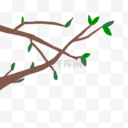 树叶枝条插画图片_绿色的枝叶枝条插画