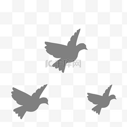 飞翔的鸽子图片_灰色的鸽子免抠图
