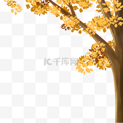 黄树叶图片_树叶秋季树木秋树