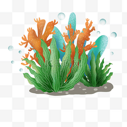 手绘海底植物图片_夏日海底珊瑚植物png免抠图