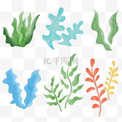 海藻图片_海洋生物海藻