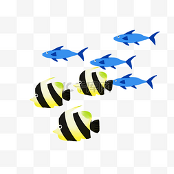 鱼群图片_彩色海洋鱼群