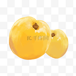 水果食物黄杏