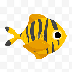 黄色花纹小鱼