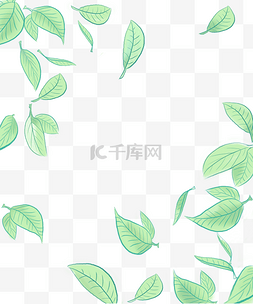 绿色茶叶花纹