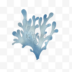 海底植物植物图片_海底蓝色珊瑚PNG素材