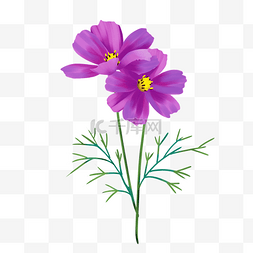 精美紫色花草