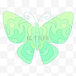 展翅的绿色蝴蝶插画