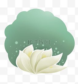 白色莲花绿色文字框