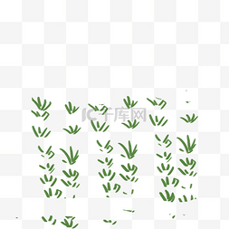 绿色的秧苗免抠图