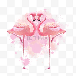 粉色创意唯美图片_手绘水彩创意热带火烈鸟