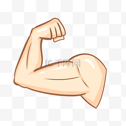 肌肉图片_臂膀肌肉