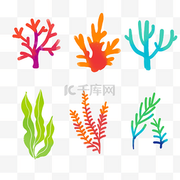 珊瑚banner图片_海洋珊瑚植物