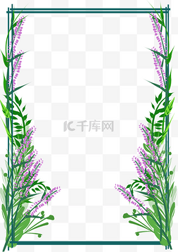 绿色花藤框图片_紫色花藤边框
