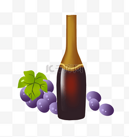 紫色的葡萄红酒插画