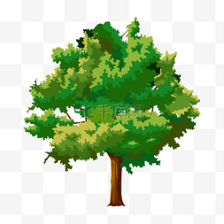 绿色的插画图片_茂密的绿色树木插画