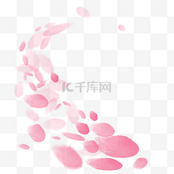 樱花图片_樱花漂浮