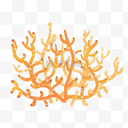 海底植物植物图片_海洋生物珊瑚