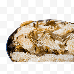 蜂蜜蜜蜂营养美味