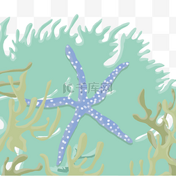海底植物植物图片_海底鱼群海草插画
