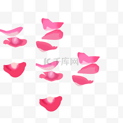 飘落的粉色玫瑰花瓣