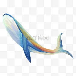 鲸鱼梦幻图片_蓝色鲸鱼