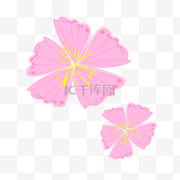 粉色花图片_春天手绘粉色花