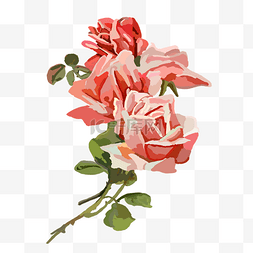 红色卡通花朵图片_手绘玫瑰花