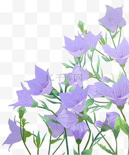 紫色唯美治愈花朵花海鲜花