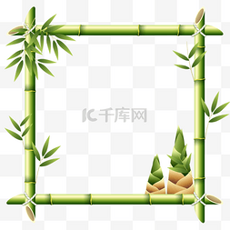 bamboo tree 竹子和竹笋组成的边框