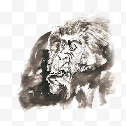 猿猴图片_撇嘴的大猩猩水墨画PNG免抠素材