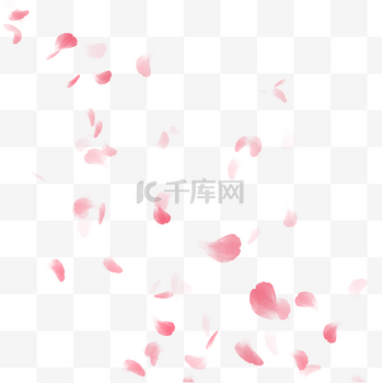 粉色漂浮花瓣玫瑰装饰