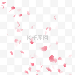 粉色漂浮花瓣玫瑰装饰
