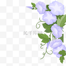紫色的花朵图片_紫色的花朵免抠图