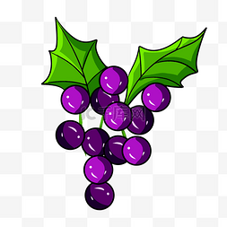 紫色的葡萄装饰插画
