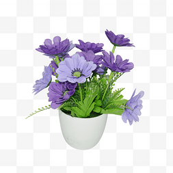 盆栽花盆栽线条图片_一盆可爱的紫色花朵盆栽