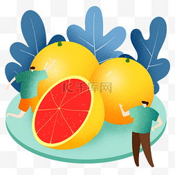 夏季美味红橙插画