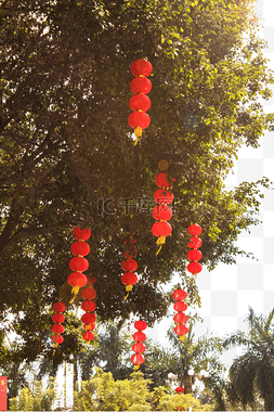 红灯笼免抠png素材图片_公园树木红灯笼美景
