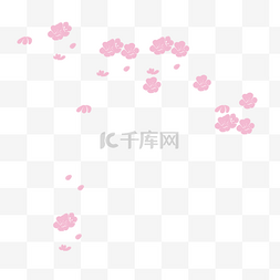 梅花图片_花瓣