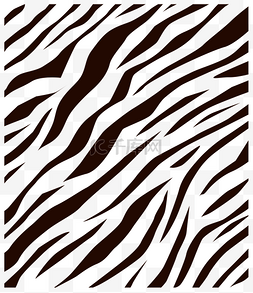动物矢量图图片_简洁大气黑白斑马纹虎纹矢量图动