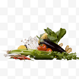 种玉米玉米图片_营养合理蔬菜组合