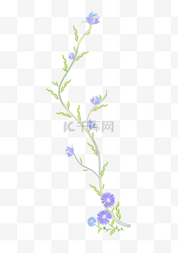 紫色花图片_紫色花朵花藤