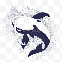 虎鲸黑白手绘插画风格纹身图案