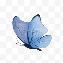 水蝴蝶图片_蓝色水彩蝴蝶