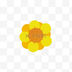 花朵免抠图图片_黄色的花朵免抠图