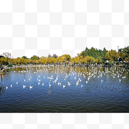 昆明大观公园景区景色风景