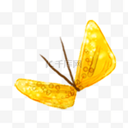 黄色的蝴蝶昆虫动物
