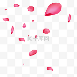 粉红高清花瓣漂浮